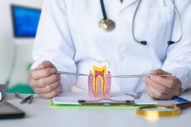 Best Emergency Dentist for Lost Fillings or Crowns in Clay, CA